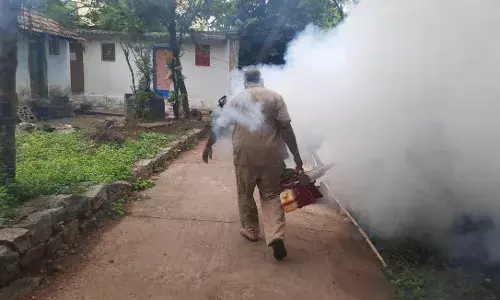 டெங்கு கொசு ஒழிப்பு பணியில் சேலம் மாநகராட்சி அதிகாரிகள் தீவிரம்
