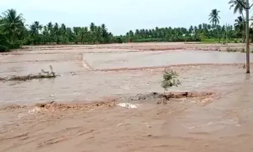 வாய்க்கால் கரை உடைந்து விவசாய நிலம், வீடுகளுக்குள் புகுந்த நீர்