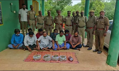 13 கோடி மதிப்புள்ள அபூா்வ திரவ கரைசல் கடத்தல்: கல்லூரி பேராசிரியா் உட்பட 9 பேர் கைது