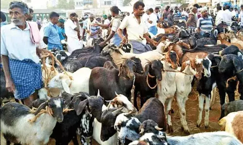 வாரச்சந்தை நடத்த அரசு அனுமதிக்க வேண்டும்: விவசாயிகள் கோரிக்கை