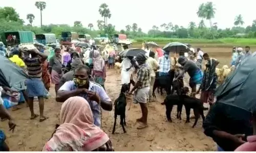 வாரச்சந்தைக்கு தடை: மாற்று இடத்தில் விற்பனைக்காக ஒன்று கூடிய விவசாயிகள்