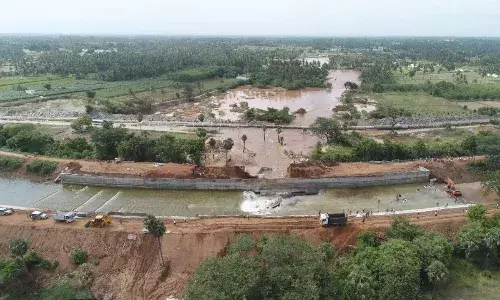 சேதமடைந்த பயிர்களுக்கு இழப்பீடு வழங்க விவசாயிகள் வேண்டுகோள்