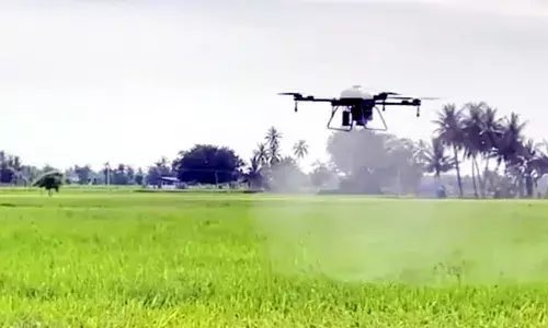 பறக்கும் இயந்திரம் (ட்ரோன்) மூலம்  பயிருக்கு  மருந்து தெளிக்கும் செயல் விளக்கம்