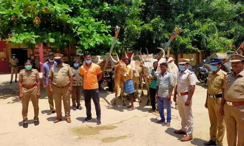 வாணியம்பாடி அருகே பாலாற்றில் மணல் கடத்திய மாட்டு வண்டிகள் பறிமுதல்