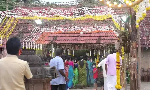 குமரி பார்த்தசாரதி கோவில் உற்சவம்; ஏராளமான பக்தர்கள்  பங்கேற்பு