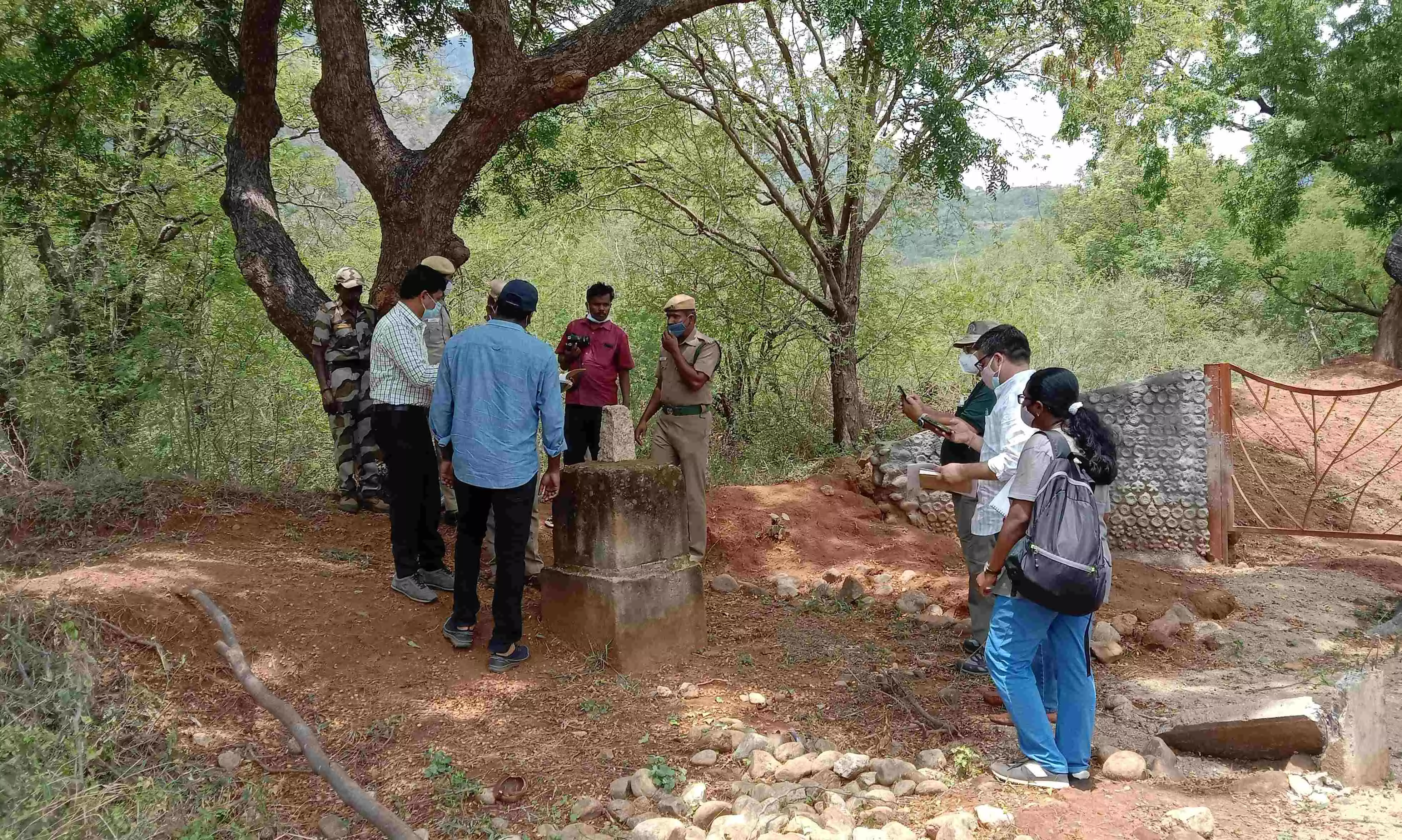 சங்கரன்கோவில் அருகே மேற்குதொடர்ச்சி மலையில் மத்திய வனத்துறை அதிகாரிகள் திடீர் ஆய்வு சங்கரன்கோவில் அருகே மேற்குதொடர்ச்சி மலையில் மத்திய வனத்துறை அதிகாரிகள் திடீர் ஆய்வு