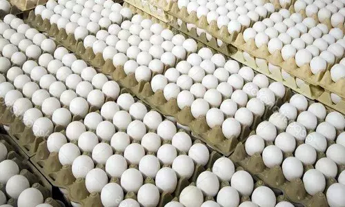 நாமக்கல்லில் முட்டை விலை 20 பைசா சரிவு