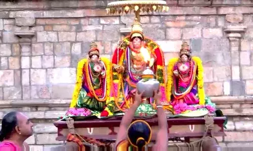 மன்னார்குடி ராஜகோபாலசாமி கோவிலில்  பவித்திர உற்சவம்