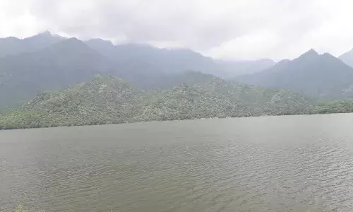 தென்காசி மாவட்ட அணைகளின் நீர்மட்டம்