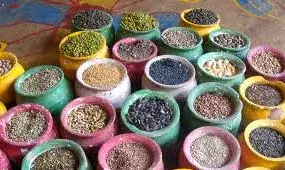 விதை சட்டத்தை மீறிய  உற்பத்தியாளர்கள், விற்பனையாளர்களுக்கு அபராதம் விதிப்பு