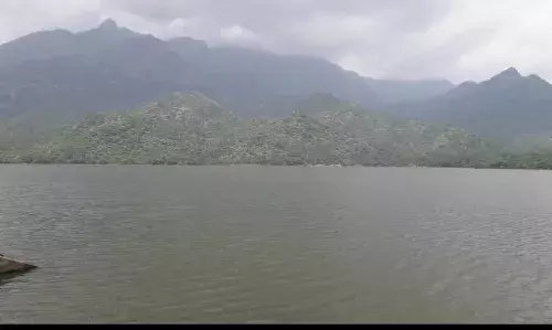 தென்காசி மாவட்ட அணைகளின் நீர்மட்டம்