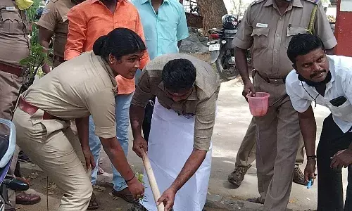 நெல்லையில் நடிகர் சூரியின் பிறந்த நாள் விழா, மரக்கன்றுகள் நட்டு கொண்டாட்டம்
