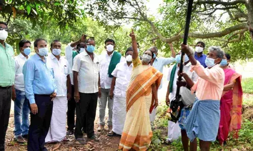 மா உற்பத்தி செய்யும் விவசாயிகளுக்கு ஒரு நாள் கருத்தரங்கு