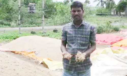 திருப்போரூர்: நெல் மூட்டைகள் மழையில் நனைந்து சேதம்