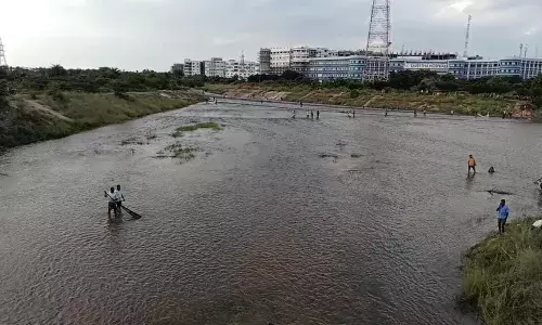 கிருஷ்ணா கால்வாயில் கழிவு நீரை விட்ட லாரி ஓட்டுனருக்கு நீதி மன்றம் தண்டனை விதித்தது