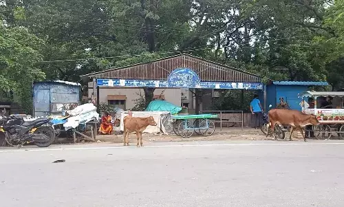நிழல்குடை  உள்ள ஆக்கிரமிப்புகளை அகற்றிட உரிய நடவடிக்கை எடுக்க வேண்டும்
