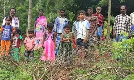 கொல்லிமலையில் மயானப்பாதையில் முள்வேலி அமைப்பு: மலைவாழ் மக்கள் பாதிப்பு