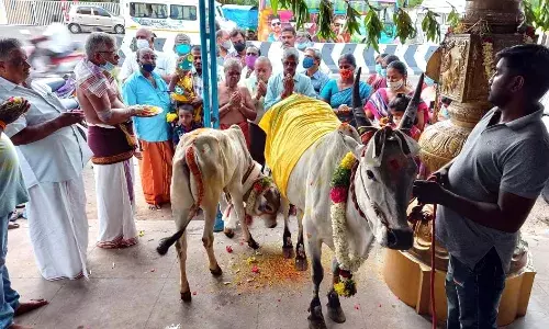 கிருஷ்ண ஜெயந்தியை முன்னிட்டு நாமக்கல்லில் கோபூஜை: பக்தர்கள் வழிபாடு