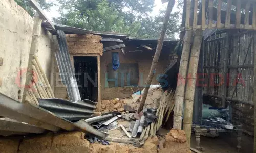 கூடலூரில் தொடரும் காட்டு யானை அட்டகாசம்