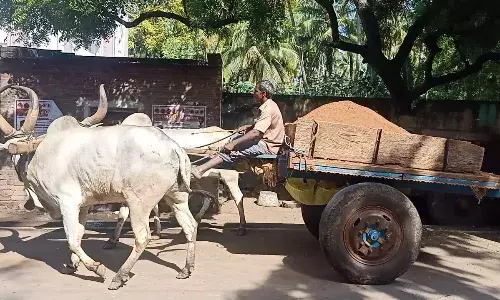மணல் திருடிய மாட்டு வண்டிகள் பறிமுதல்:  போடி டி.எஸ்.பி., பொறுப்பேற்றதும் அதிரடி