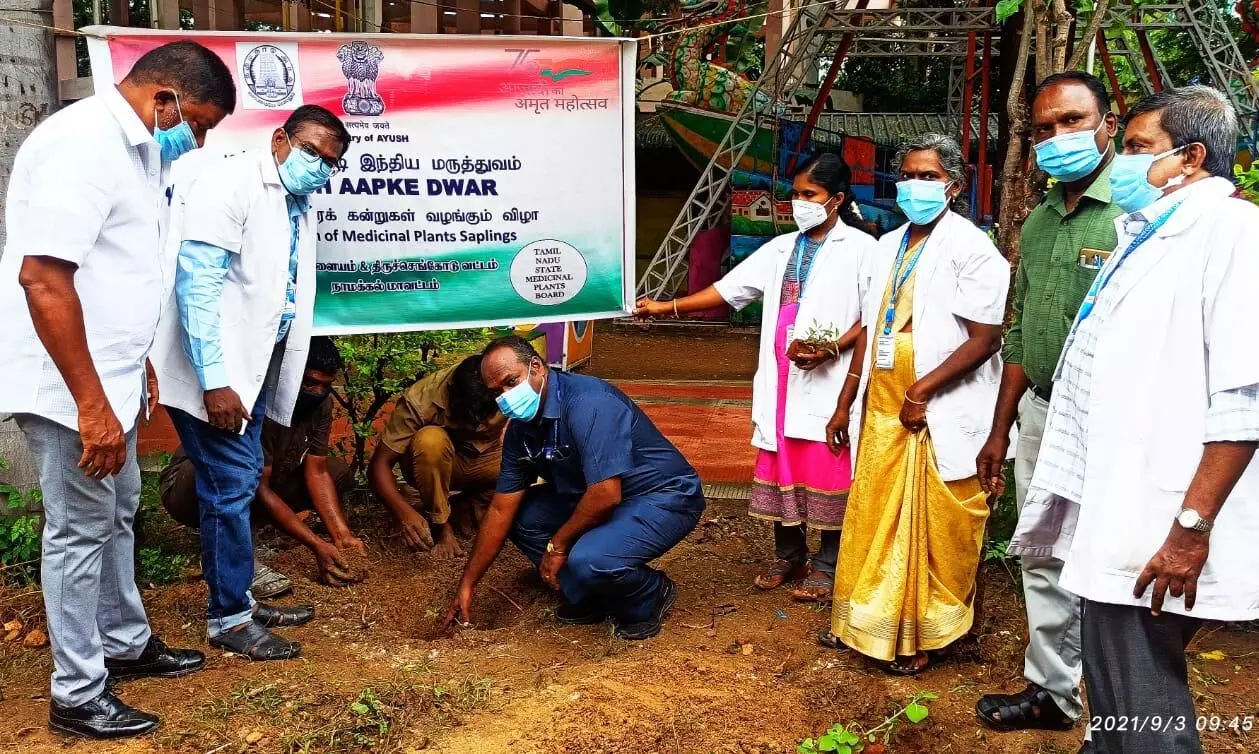 குமாரபாளையத்தில் 700 மூலிகை செடிகள் நடும் விழா; நகராட்சி கமிஷனர் பங்கேற்பு குமாரபாளையத்தில் 700 மூலிகை செடிகள் நடும் விழா; நகராட்சி கமிஷனர் பங்கேற்பு