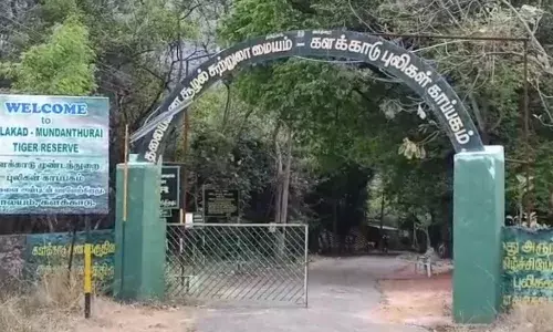 நெல்லை மாவட்டத்தில் சுற்றுலா தலங்களுக்கு நாளை முதல் அனுமதி