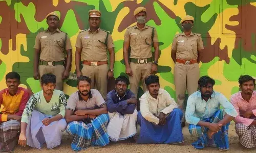 புளியங்குடி அருகே காட்டுபன்றியை வேட்டையாடிய 7 பேர் கைது: வனத்துறையினர் அதிரடி