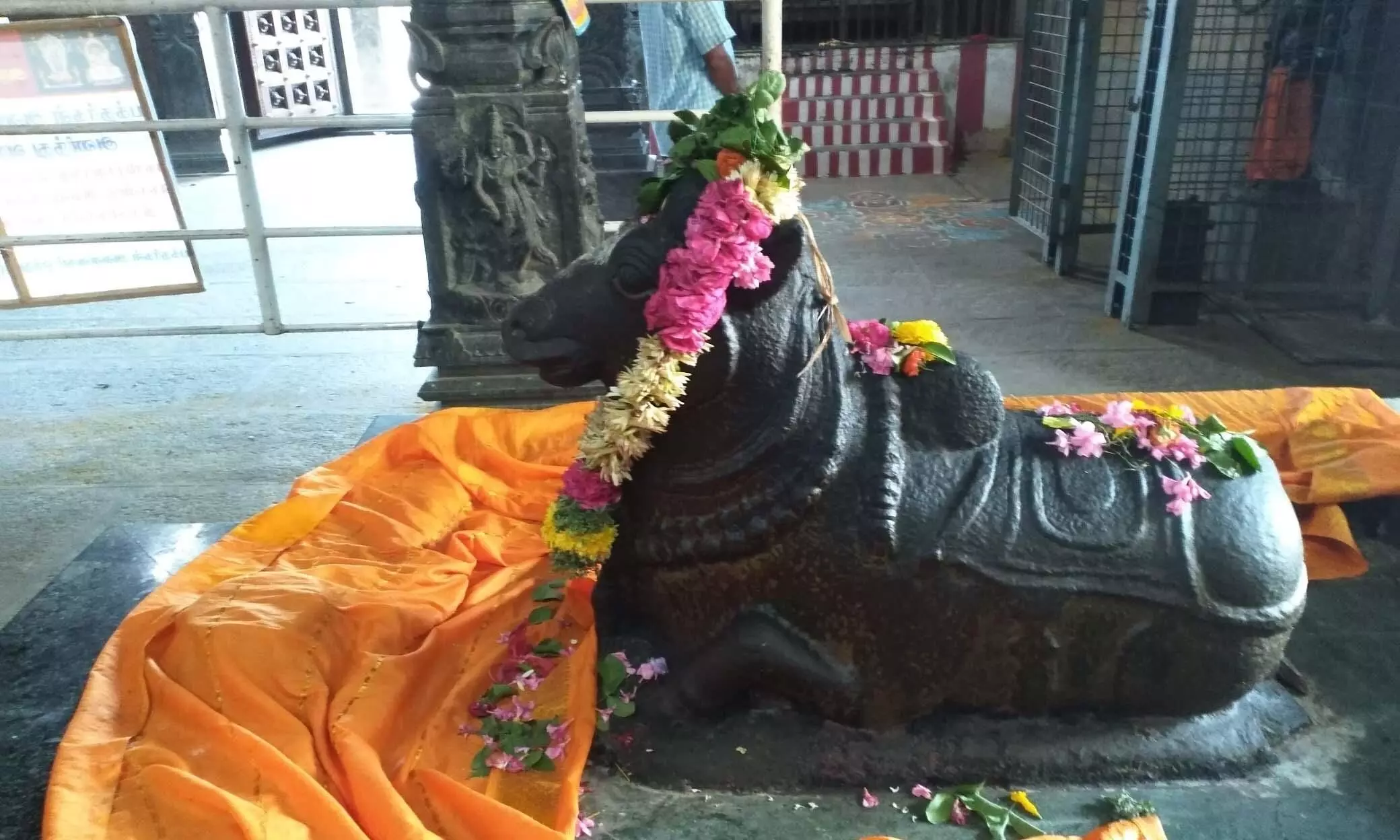 சனி பிரதோஷத்தையொட்டி குமாரபாளையம், பவானி கோவில்களில் சிறப்பு வழிபாடு சனி பிரதோஷத்தையொட்டி குமாரபாளையம், பவானி கோவில்களில் சிறப்பு வழிபாடு