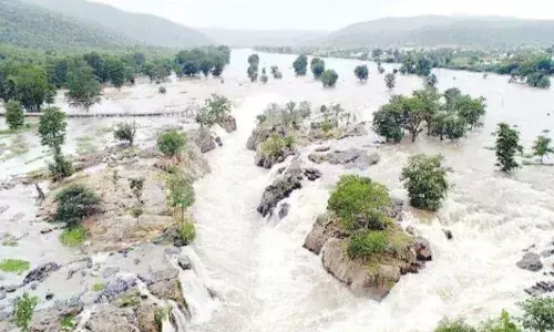 ஒகேனக்கல்லுக்கு வரும் நீர்வரத்து 19 ஆயிரம் கன அடியாக அதிகரிப்பு