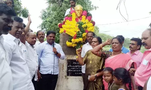 செய்யூர் அருகே இரும்பேடு கிராமத்தில் அம்பேத்கருக்கு புதிய சிலை
