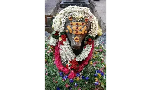 நத்தம் கைலாசநாதர் கோவிலில் சனி மஹா பிரதோஷ விழா