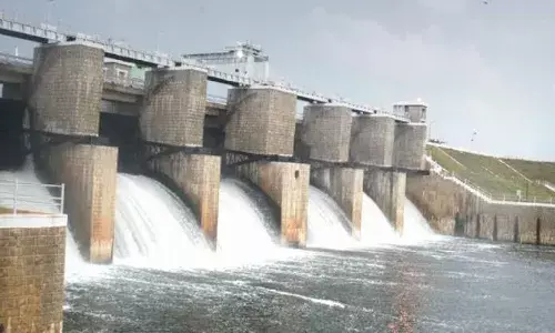 கெலவரப்பள்ளி, சின்னாறு அணை மீன்பாசி குத்தகைக்கு விண்ணப்பிக்க 13ம் தேதி கடைசி