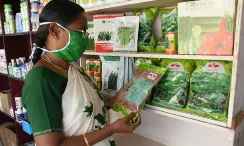 பருவம் தவறி விதைகள் விற்றால் கடும் நடவடிக்கை, துணை இயக்குநர் எச்சரிக்கை