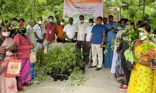 கிருஷ்ணகிரியில்  மூலிகை செடிகள் மற்றும் விதைகள் பொதுமக்களுக்கு விநியோகம்