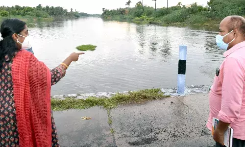 திருமணிமுத்தாற்றில் வெள்ளப்பெருக்கு எதிரொலி:  பரமத்தி அருகே தரைப்பாலம் ஆய்வு