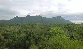 ஜமுனாமரத்தூரில் நாளை முதியோர் மற்றும் விதவை ஓய்வூதிய சிறப்பு முகாம்