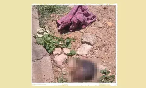 குழந்தையின் தலையை தூக்கி வந்த நாய் - மதுரையில் பரபரப்பு