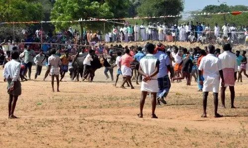 மேலவலசை கிராமத்தில் எருதுகட்டு பெருவிழா