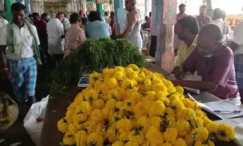 சங்கரன்கோவில் மலர் சந்தையில் பூக்கள் விலை உயர்வு: விவசாயிகள் மகிழ்ச்சி