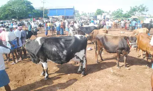 கொரோனா அச்சம்: கருங்கல்பாளையம் மாட்டு சந்தையில் விற்பனை மந்தம்