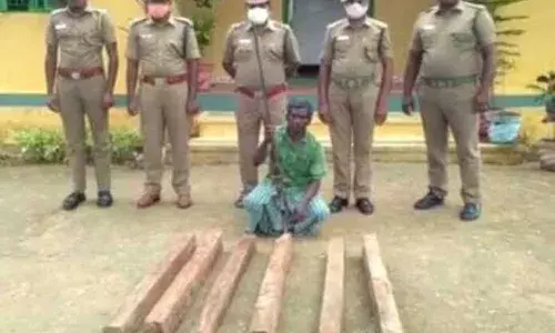 வனப்பகுதியில் தேக்கு மரம்  கடத்திய நபர் கைது : நாட்டு துப்பாக்கி பறிமுதல்