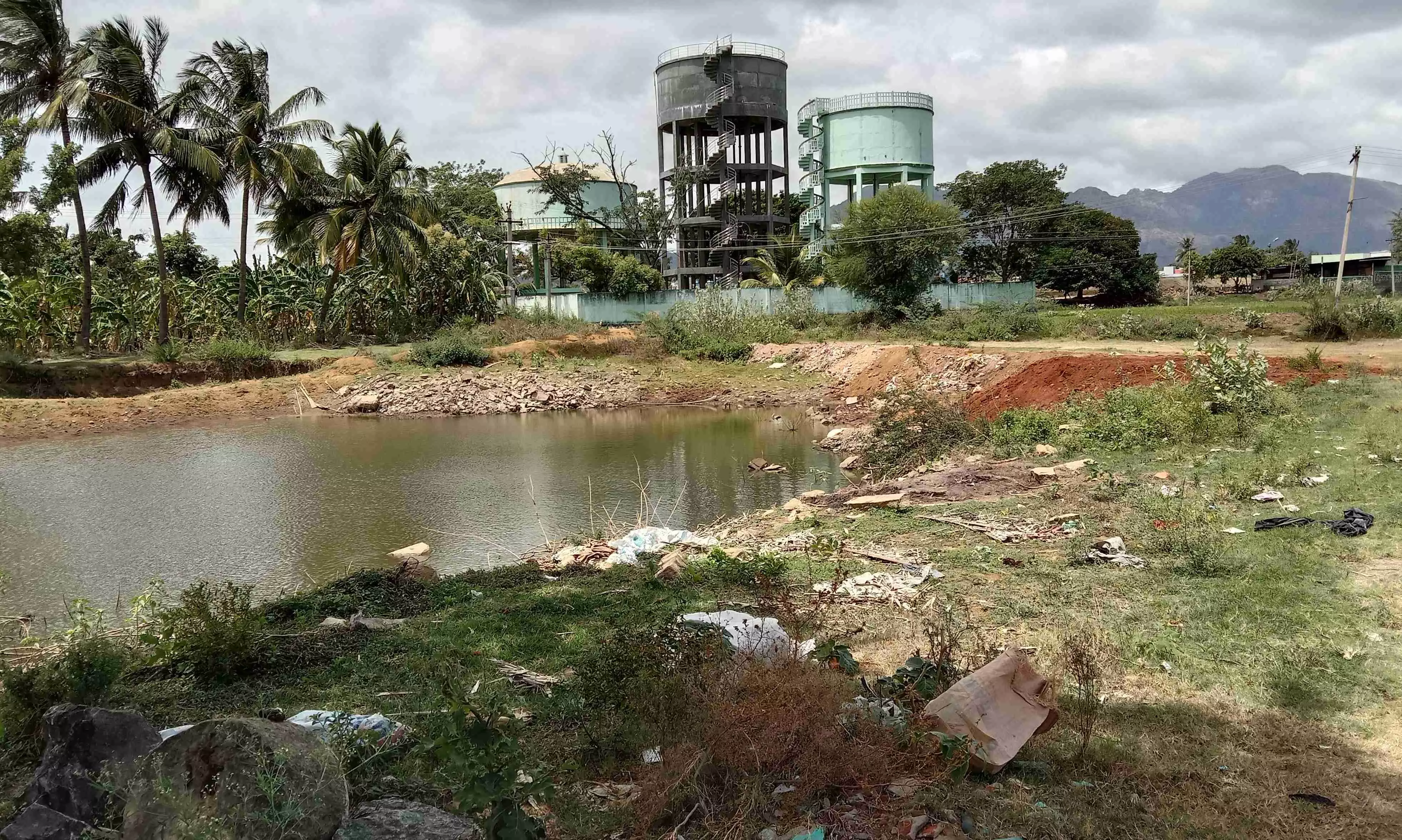 புளியங்குடியில் ஊரணி ஆக்கிரமிப்பு: நடவடிக்கை எடுக்க சமூக ஆர்வலர்கள் கோரிக்கை புளியங்குடியில் ஊரணி ஆக்கிரமிப்பு: நடவடிக்கை எடுக்க சமூக ஆர்வலர்கள் கோரிக்கை