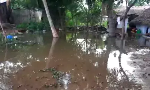 செக்டேம் நிரம்பி குடியிருப்புகளில் தண்ணீர்: சோதனை ஓட்டத்தில் சோகம்