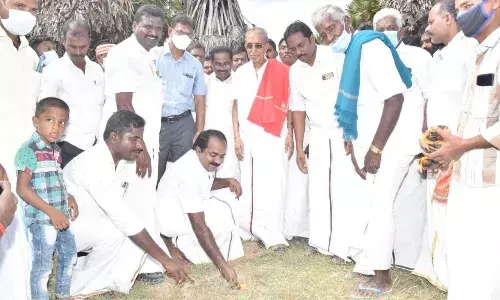 பாண்டி குளத்தில் உள்ள பனை மரங்களை சுற்றுச்சூழல் துறை அமைச்சர் ஆய்வு
