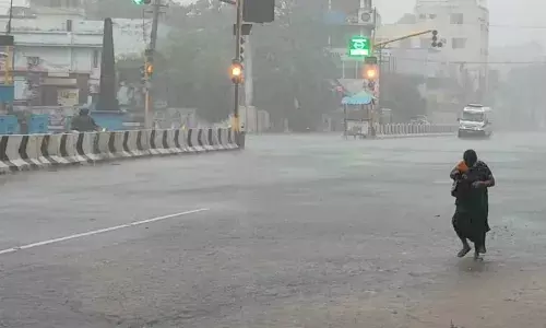 குமரியை குளிர்வித்த தொடர் மழை, விவசாயிகள், பொதுமக்கள் மகிழ்ச்சி