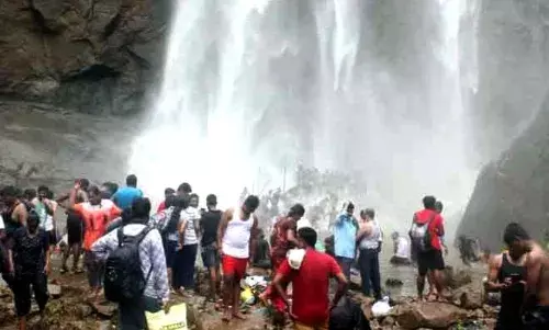 3 நாட்கள் தொடர்விடுமுறையால் கொல்லிமலையில் குவிந்த   சுற்றுலாப் பயணிகள்