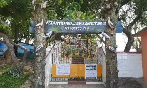 5 மாதத்திற்குப்பின் வேடந்தாங்கல் சரணாலயம் திறப்பு: கட்டுப்பாடுகளுடன் அனுமதி