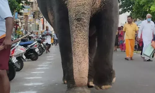 திருச்சி மலைக்கோட்டை கோயில்-அமைச்சர்  நிகழ்ச்சி ரத்தானதால் பரபரப்பு