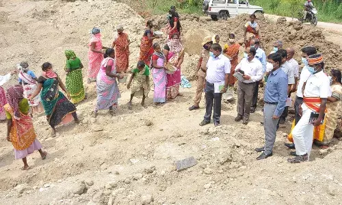 100 நாள் வேலையில் மாடுகளுக்கு பசுந்தீவனம் உற்பத்தி