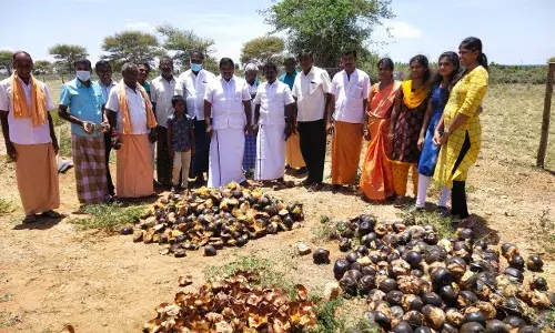 தாராபுரம் அருகே 2000 பனை விதைகள் நடும் நிகழ்ச்சி